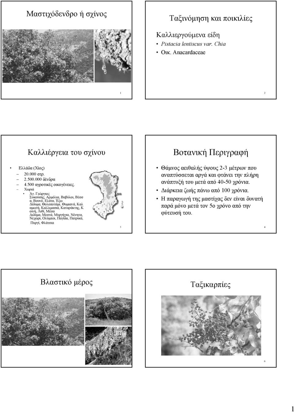 Γεώργιος Συκούσης, Αρμόλια, Βαβύλοι, Βέσσ α, Βουνό, Ελάτα, Έξω Δίδυμα, Θολοποτάμι, Θυμιανά, Καλ αμωτή, Καλλιμασιά, Καταράκτης, Κ οινή, Λιθί, Μέσα Διδύμα, Μεστά, Μυργήγκι, Νένητα,