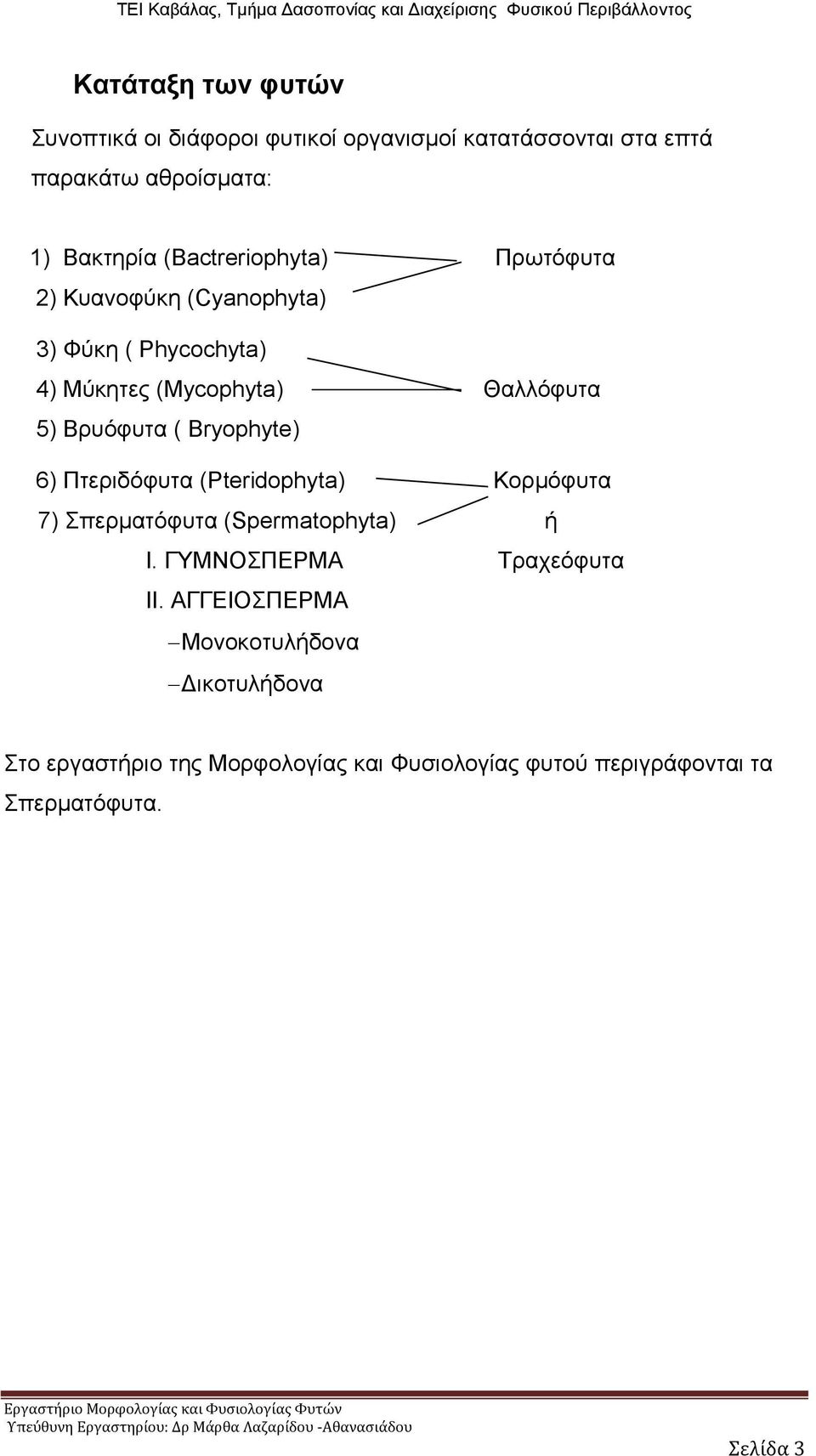 Bryophyte) 6) Πτεριδόφυτα (Pteridophyta) Κορμόφυτα 7) Σπερματόφυτα (Spermatophyta) ή Ι. ΓΥΜΝΟΣΠΕΡΜΑ Τραχεόφυτα ΙΙ.