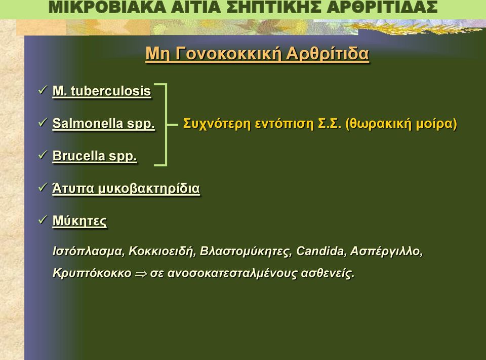 Συχνότερη εντόπιση Σ.Σ. (θωρακική μοίρα) Brucella spp.