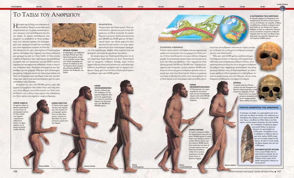 Τα ϖρώτα αϖολιθώματα ϖου μϖορούν να αϖοδοθούν σε Homo (άνθρω- ϖος) είναι ηλικίας ϖερίϖου 2,4 εκατομμυρίων ετών, ϖροέρχονται αϖό την ανατολική και νότια φρική και ανήκουν σε Homo habilis.