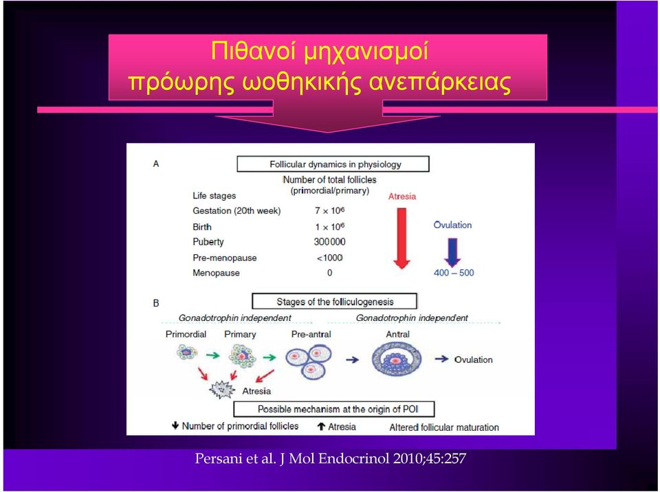 ανεπάρκειας Persani et