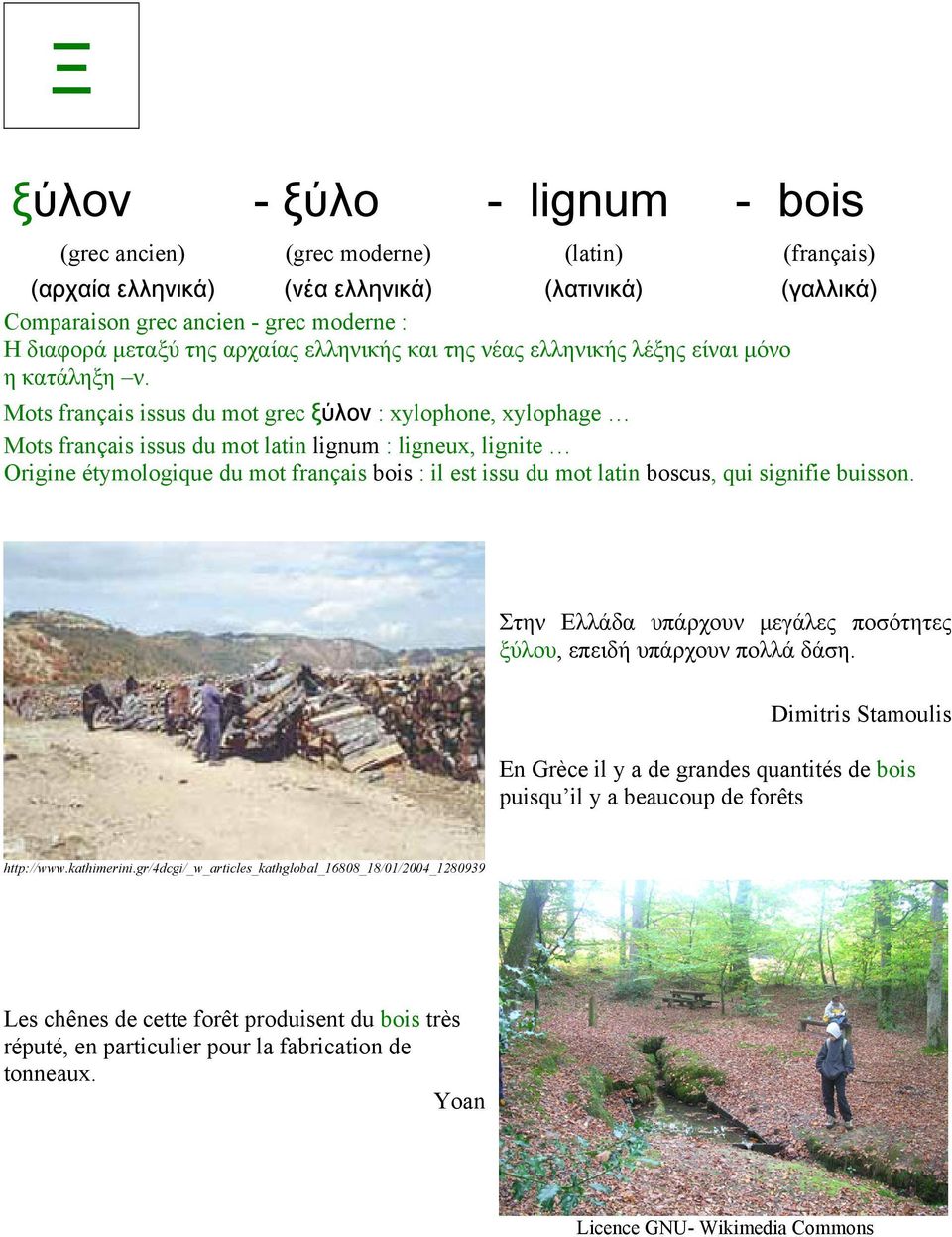 boscus, qui signifie buisson. Στην Ελλάδα υπάρχουν µεγάλες ποσότητες ξύλου, επειδή υπάρχουν πολλά δάση.