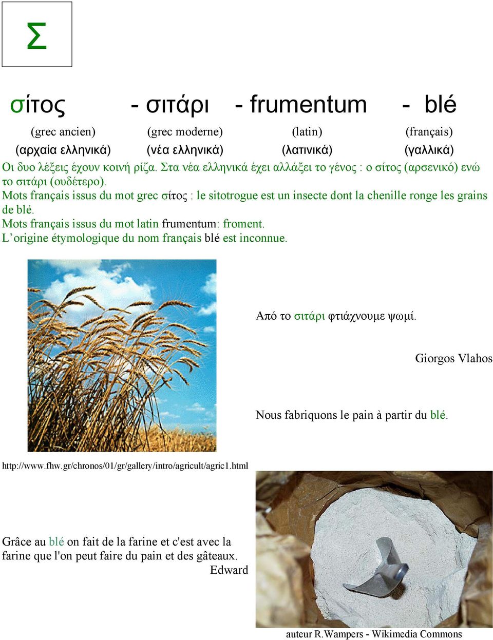 L origine étymologique du nom français blé est inconnue. Από το σιτάρι φτιάχνουµε ψωµί. Giorgos Vlahos Nous fabriquons le pain à partir du blé. http://www.fhw.