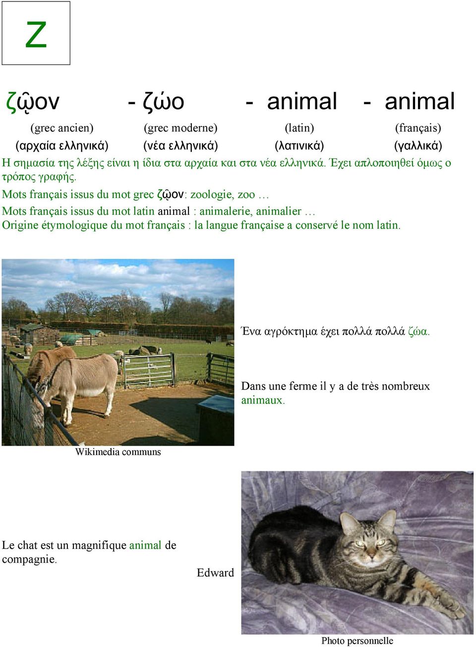 Mots français issus du mot grec ζῷον: zoologie, zoo Mots français issus du mot latin animal : animalerie, animalier Origine
