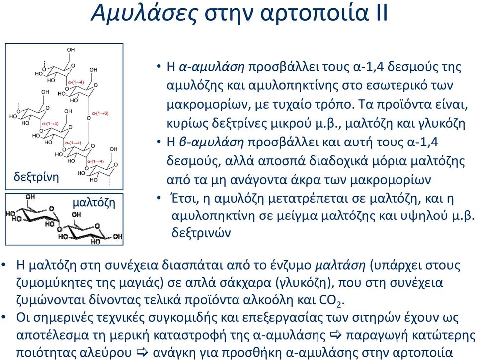 , μαλτόζη λό και γλυκόζη H β αμυλάση προσβάλλει και αυτή τους α 1,4 δεσμούς, αλλά αποσπά διαδοχικά μόρια μαλτόζης από τα μη ανάγοντα άκρα των μακρομορίων Έτσι, η αμυλόζη μετατρέπεται σε μαλτόζη, και