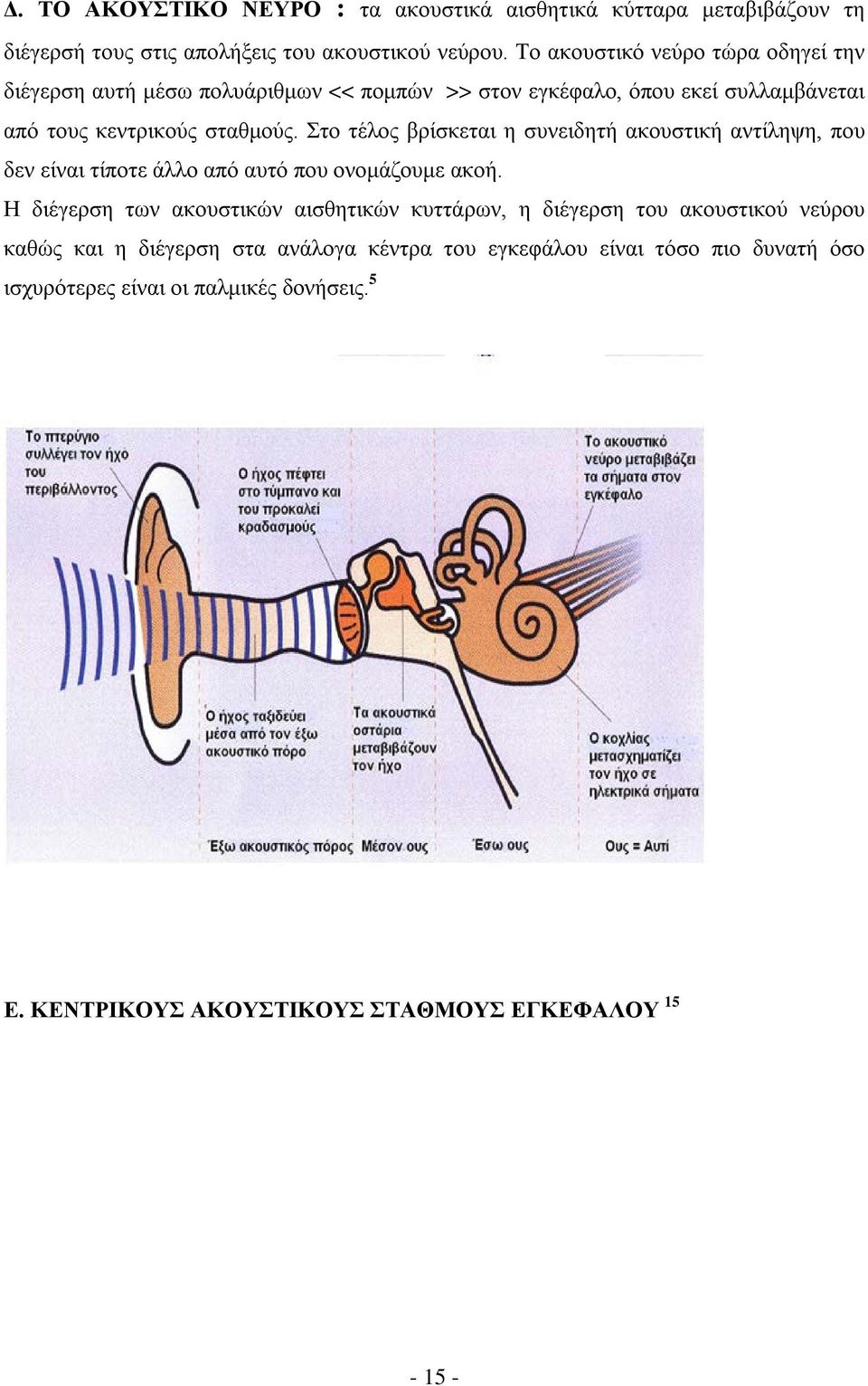 Στο τέλος βρίσκεται η συνειδητή ακουστική αντίληψη, που δεν είναι τίποτε άλλο από αυτό που ονομάζουμε ακοή.