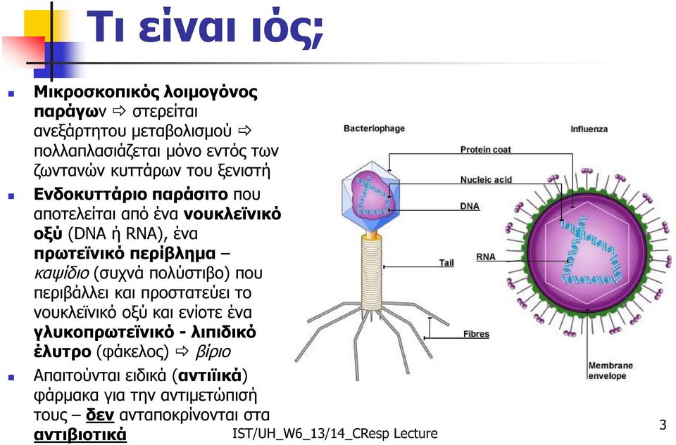 περίβλημα καψίδιο (συχνά πολύστιβο) που περιβάλλει και προστατεύει το νουκλεϊνικό οξύ και ενίοτε ένα γλυκοπρωτεϊνικό -