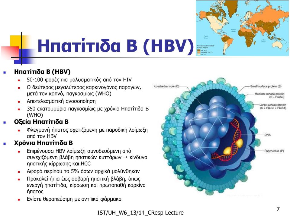 ΗBV Χρόνια Ηπατίτιδα B Επιμένουσα HBV λοίμωξη συνοδευόμενη από συνεχιζόμενη βλάβη ηπατικών κυττάρων κίνδυνο ηπατικής κίρρωσης και ΗCC Αφορά περίπου το 5%