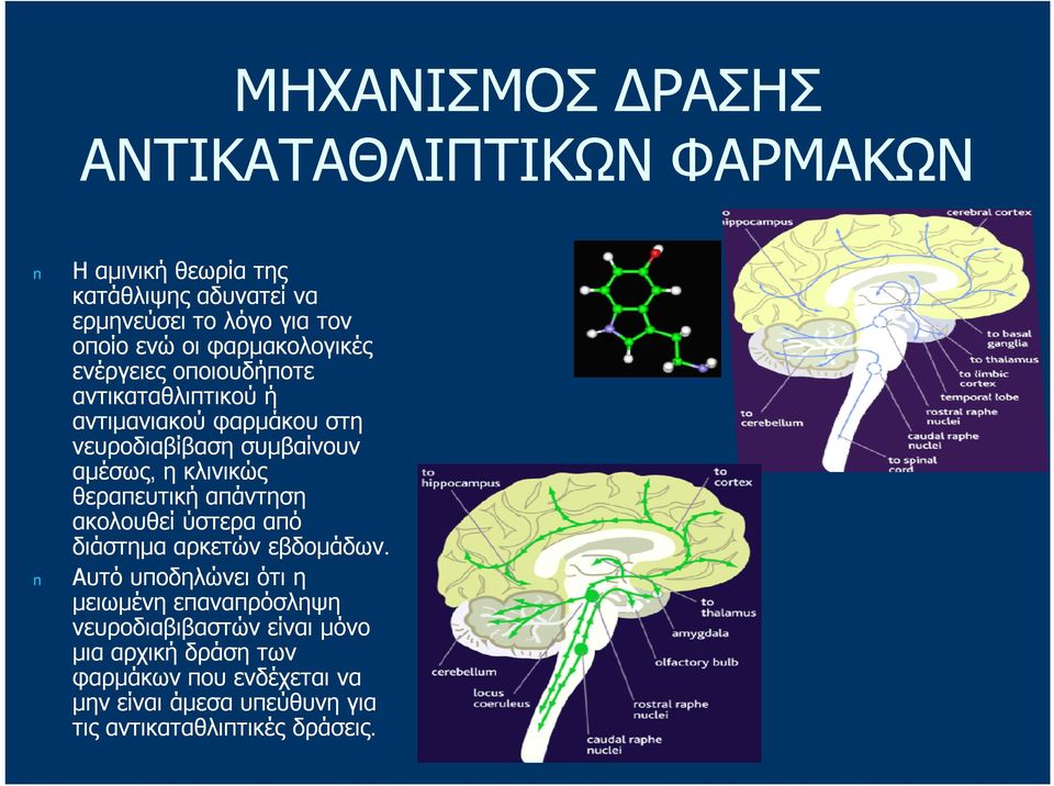 κλινικώς θεραπευτική απάντηση ακολουθεί ύστερα από διάστημα αρκετών εβδομάδων.