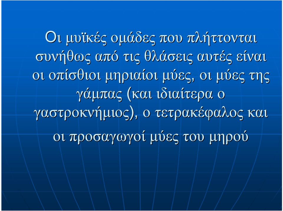 οι μύες της γάμπας (και ιδιαίτερα ο