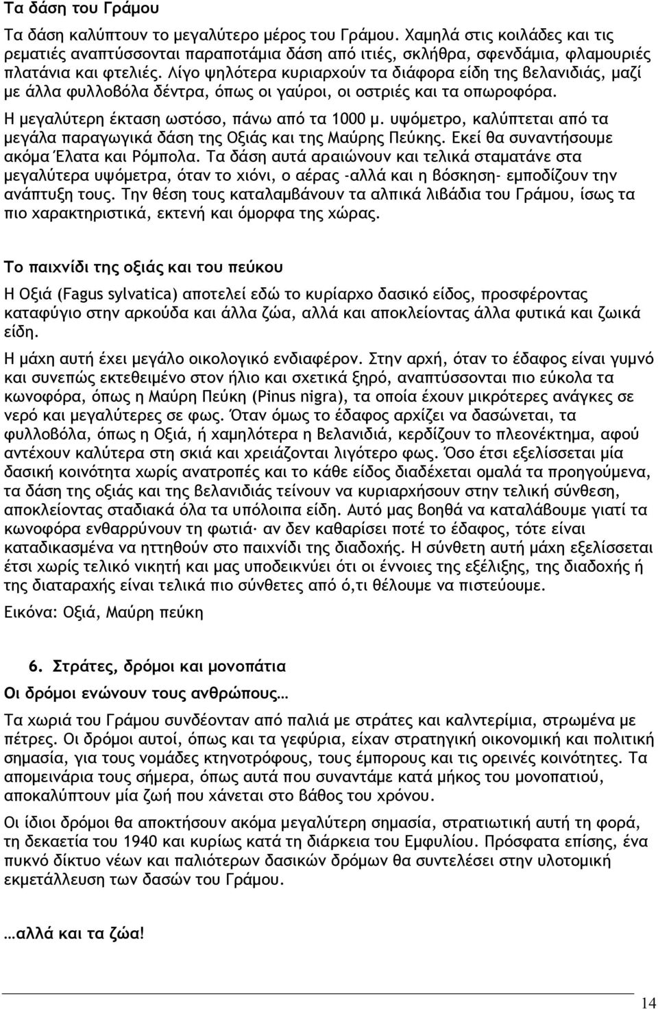 Λίγο ψηλότερα κυριαρχούν τα διάφορα είδη της βελανιδιάς, μαζί με άλλα φυλλοβόλα δέντρα, όπως οι γαύροι, οι οστριές και τα οπωροφόρα. Η μεγαλύτερη έκταση ωστόσο, πάνω από τα 1000 μ.