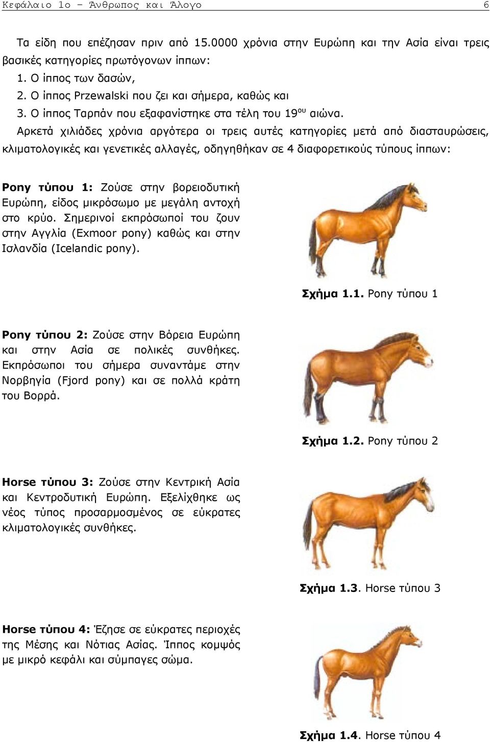 Αρκετά χιλιάδες χρόνια αργότερα οι τρεις αυτές κατηγορίες μετά από διασταυρώσεις, κλιματολογικές και γενετικές αλλαγές, οδηγηθήκαν σε 4 διαφορετικούς τύπους ίππων: Pony τύπου 1: Ζούσε στην