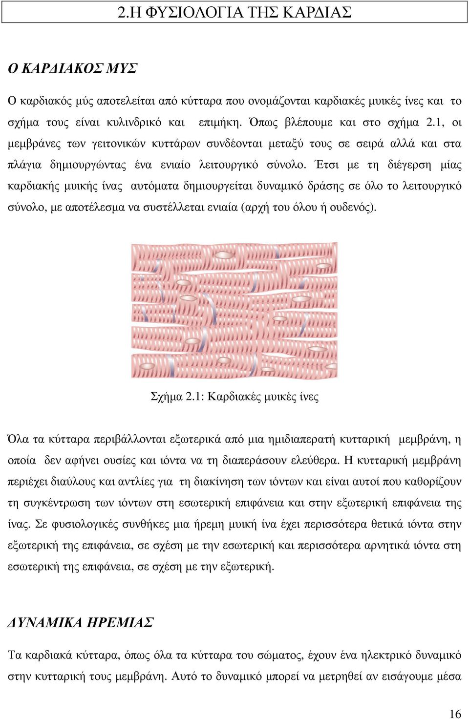 Έτσι µε τη διέγερση µίας καρδιακής µυικής ίνας αυτόµατα δηµιουργείται δυναµικό δράσης σε όλο το λειτουργικό σύνολο, µε αποτέλεσµα να συστέλλεται ενιαία (αρχή του όλου ή ουδενός). Σχήµα 2.