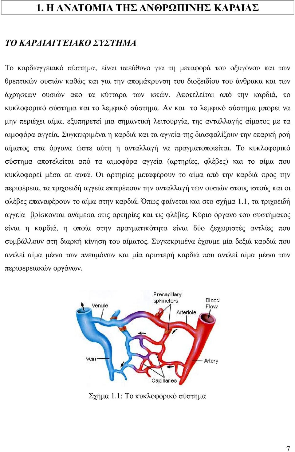 Αν και το λεµφικό σύστηµα µπορεί να µην περιέχει αίµα, εξυπηρετεί µια σηµαντική λειτουργία, της ανταλλαγής αίµατος µε τα αιµοφόρα αγγεία.