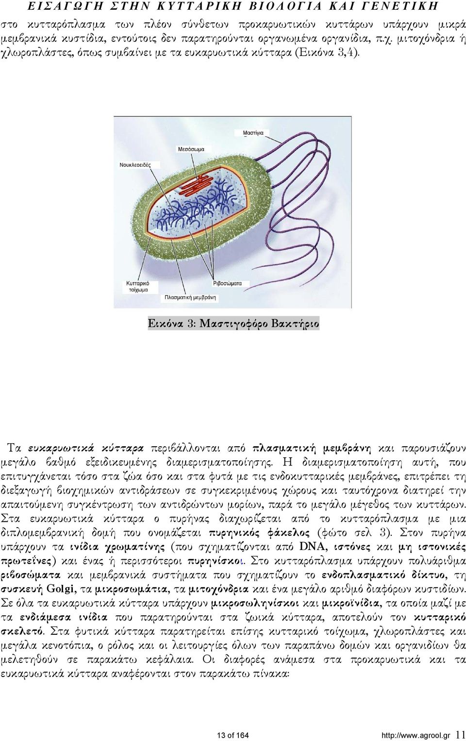 Η διαµερισµατοποίηση αυτή, που επιτυγχάνεται τόσο στα ζώα όσο και στα φυτά µε τις ενδοκυτταρικές µεµβράνες, επιτρέπει τη διεξαγωγή βιοχηµικών αντιδράσεων σε συγκεκριµένους χώρους και ταυτόχρονα