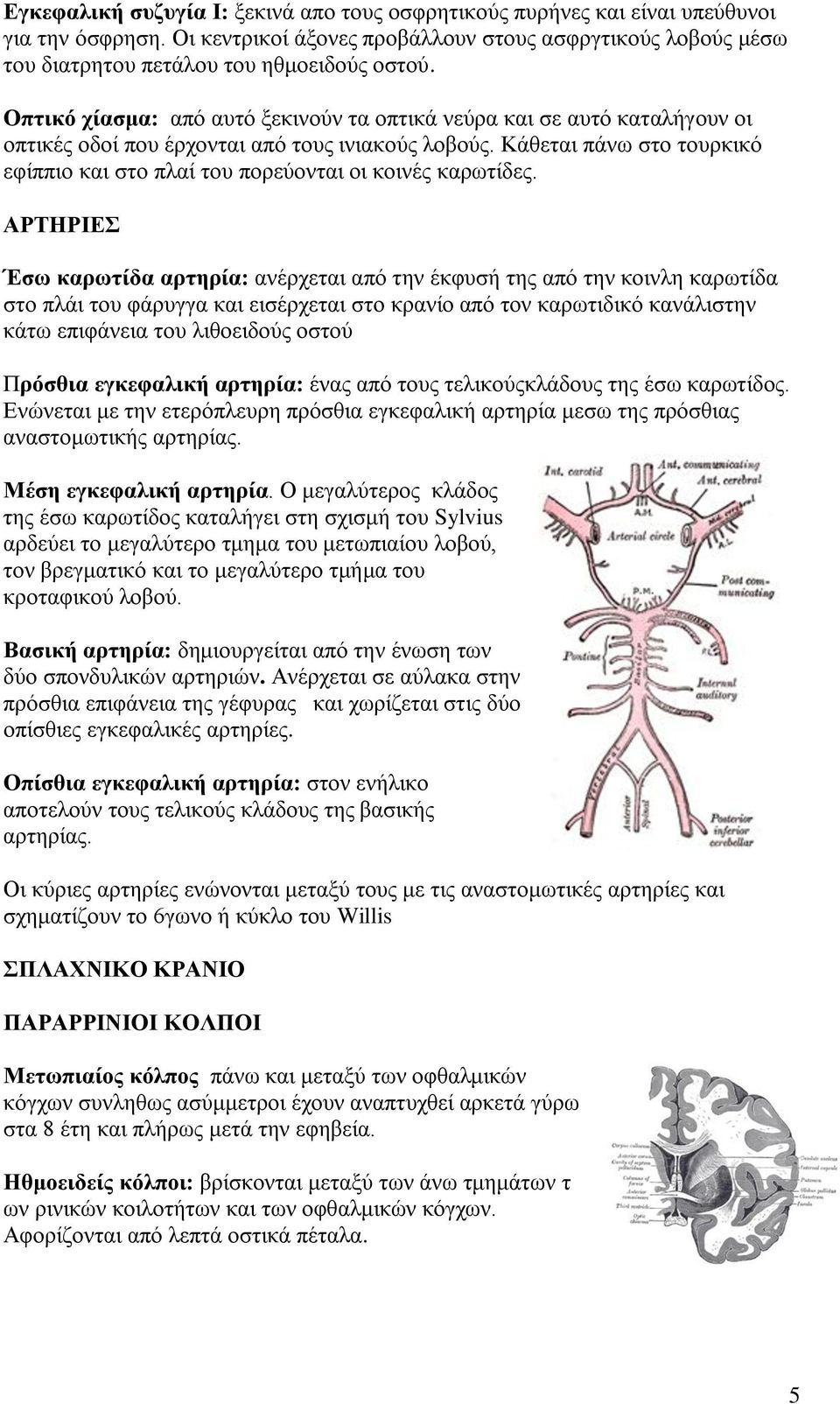 Κάθεται πάνω στο τουρκικό εφίππιο και στο πλαί του πορεύονται οι κοινές καρωτίδες.