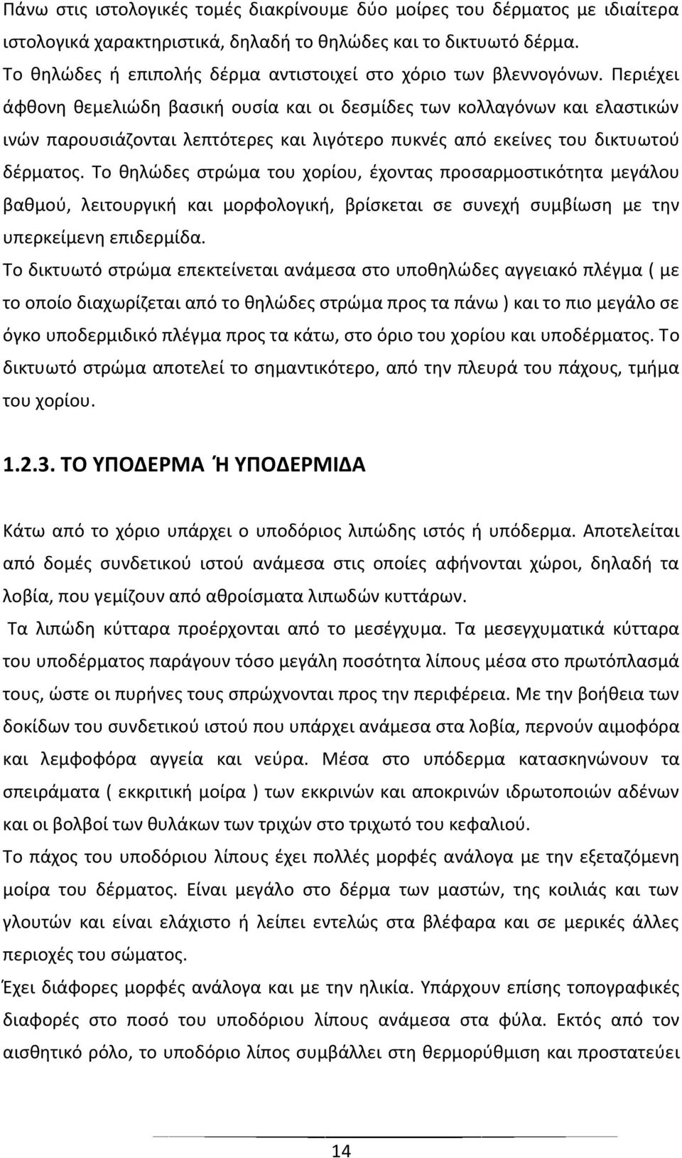 Περιέχει άφθονη θεμελιώδη βασική ουσία και οι δεσμίδες των κολλαγόνων και ελαστικών ινών παρουσιάζονται λεπτότερες και λιγότερο πυκνές από εκείνες του δικτυωτού δέρματος.