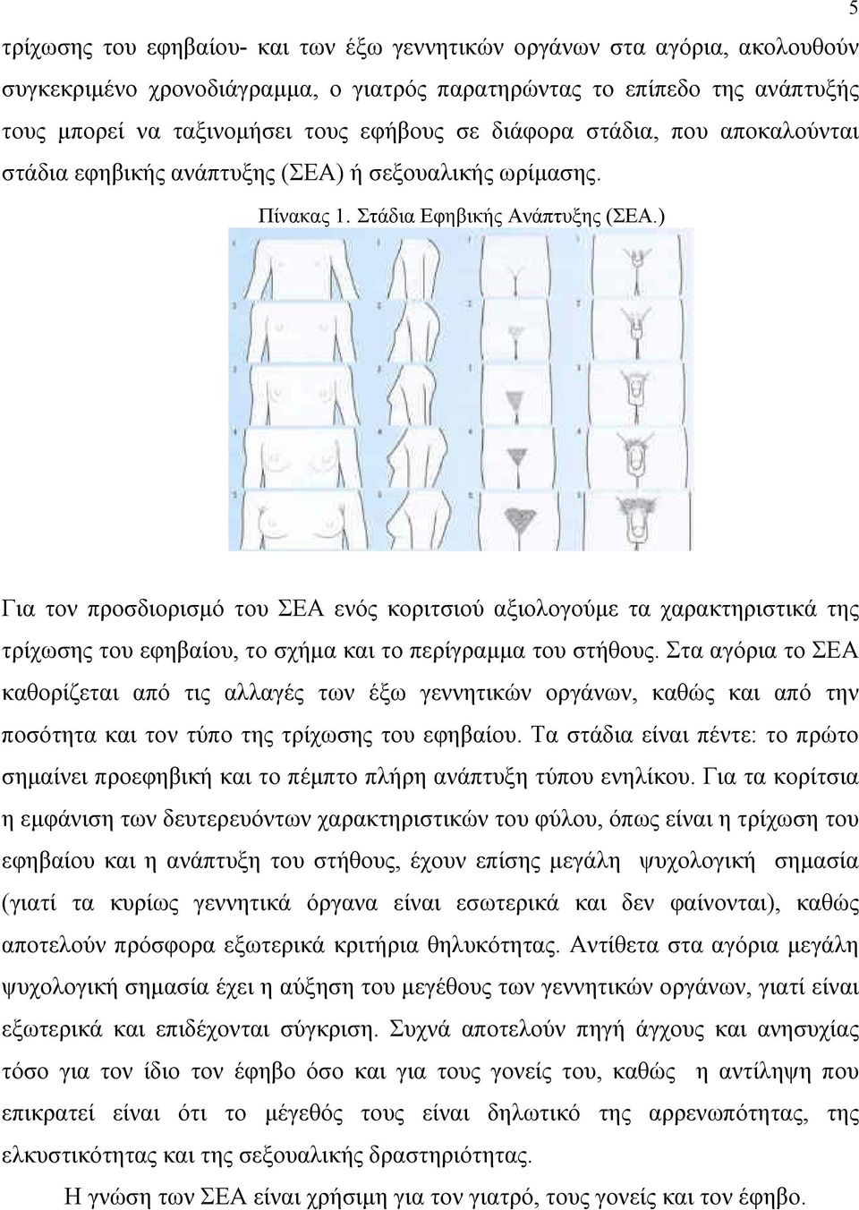 ) Για τον προσδιορισμό του ΣΕΑ ενός κοριτσιού αξιολογούμε τα χαρακτηριστικά της τρίχωσης του εφηβαίου, το σχήμα και το περίγραμμα του στήθους.