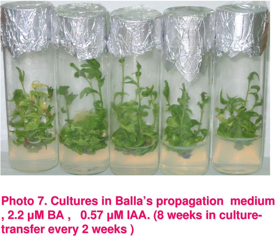 propagation medium, 2.