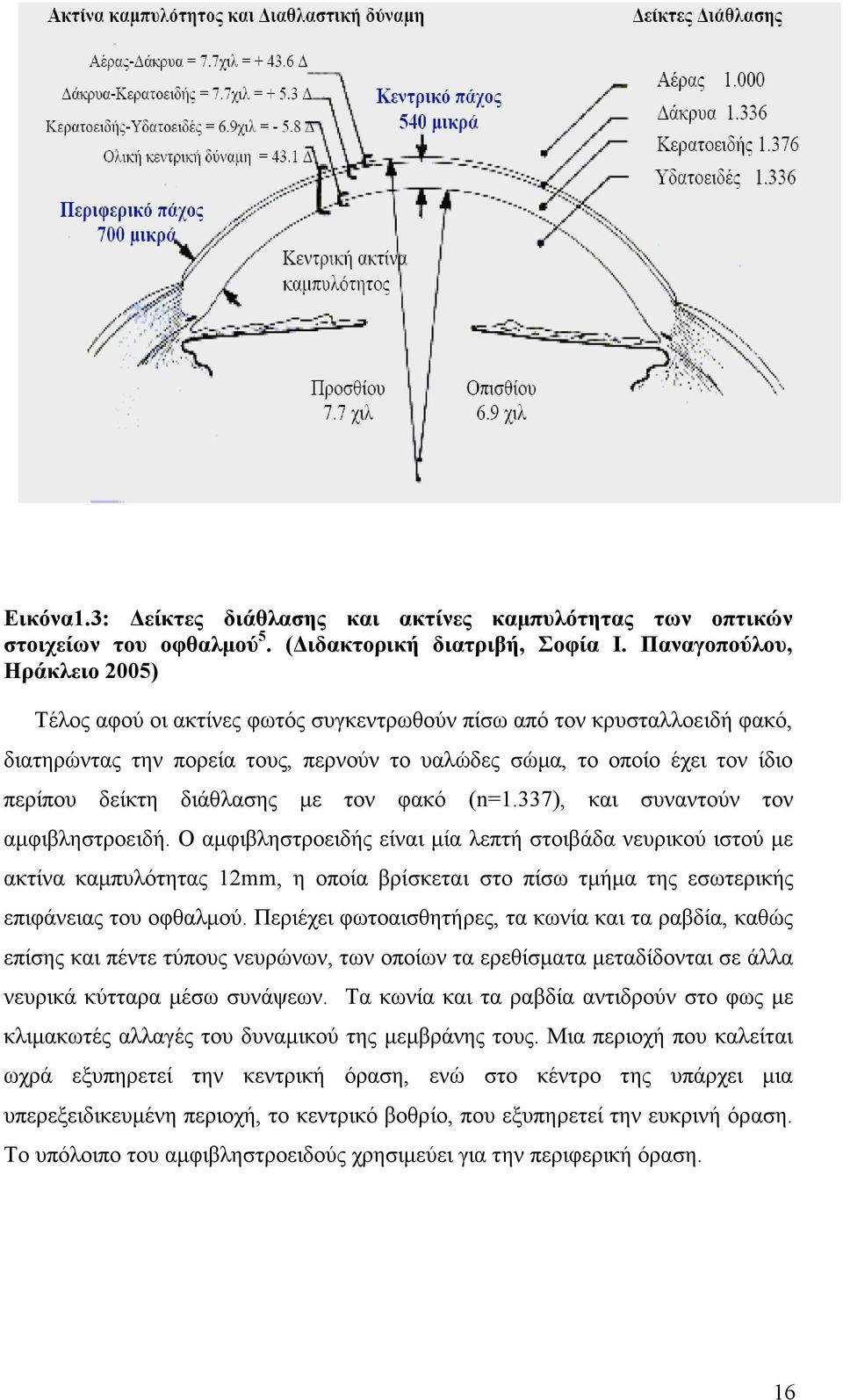 διάθλασης µε τον φακό (n=1.337), και συναντούν τον αµφιβληστροειδή.