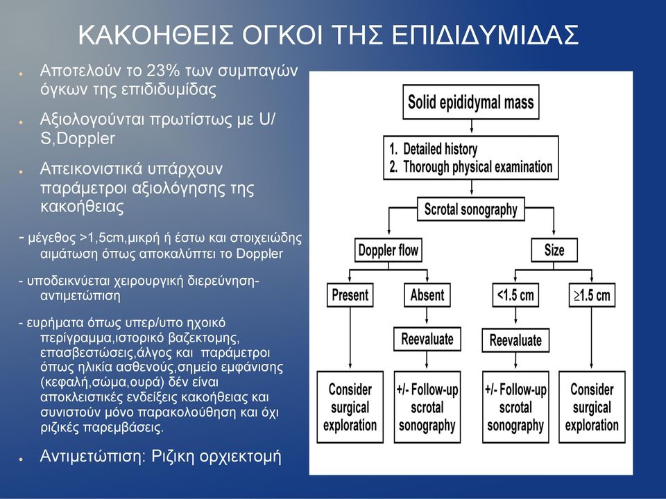 διερεύνησηαντιµετώπιση - ευρήµατα όπως υπερ/υπο ηχοικό περίγραµµα,ιστορικό βαζεκτοµης, επασβεστώσεις,άλγος και παράµετροι όπως ηλικία ασθενούς,σηµείο