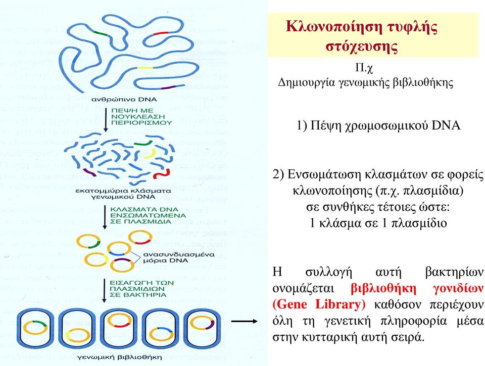 φορείς κλωνοποίησης (π.χ.