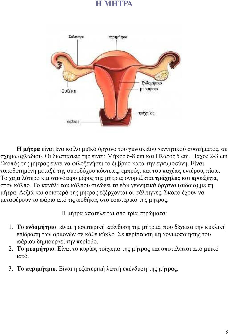 Το χαµηλότερο και στενότερο µέρος της µήτρας ονοµάζεται τράχηλος και προεξέχει, στον κόλπο. Το κανάλι του κόλπου συνδέει τα έξω γεννητικά όργανα (αιδοίο),µε τη µήτρα.