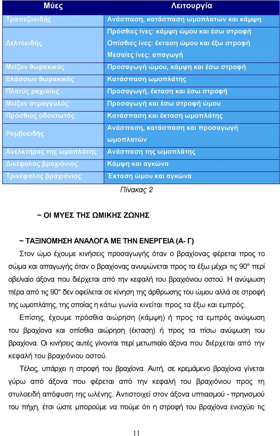 Κατάσπαση ωµοπλάτης Προσαγωγή, έκταση και έσω στροφή Προσαγωγή και έσω στροφή ώµου Κατάσπαση και έκταση ωµοπλάτης Ανάσπαση, κατάσπαση και προσαγωγή ωµοπλατών Ανάσπαση της ωµοπλάτης Κάµψη και αγκώνα