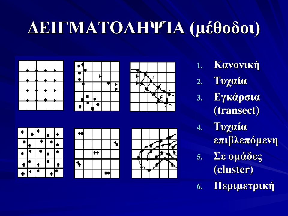 Εγκάρσια (transect) 4.