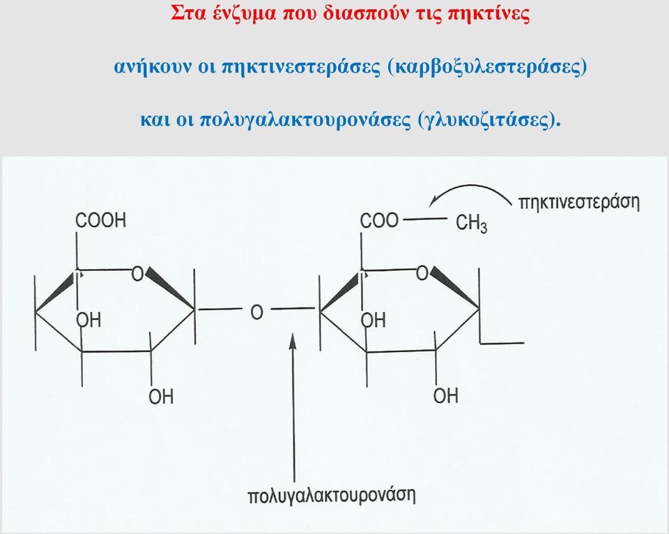 πηκτινεστεράσες