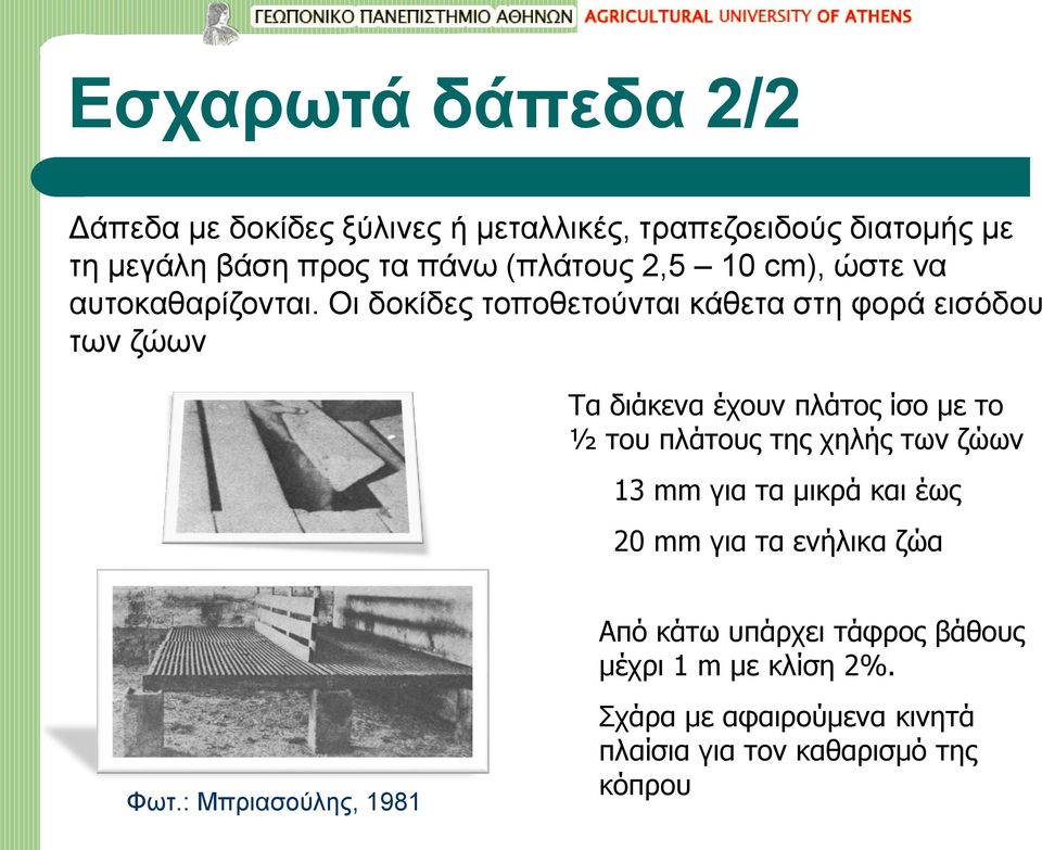 Οι δοκίδες τοποθετούνται κάθετα στη φορά εισόδου των ζώων Τα διάκενα έχουν πλάτος ίσο με το ½ του πλάτους της χηλής των