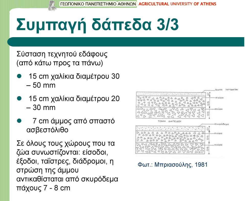 ασβεστόλιθο Σε όλους τους χώρους που τα ζώα συνωστίζονται: είσοδοι, έξοδοι,