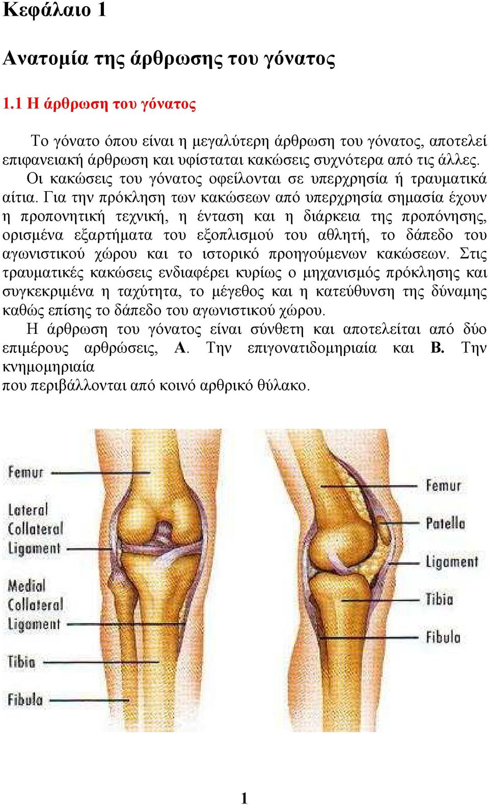 Οι κακώσεις του γόνατος οφείλονται σε υπερχρησία ή τραυµατικά αίτια.
