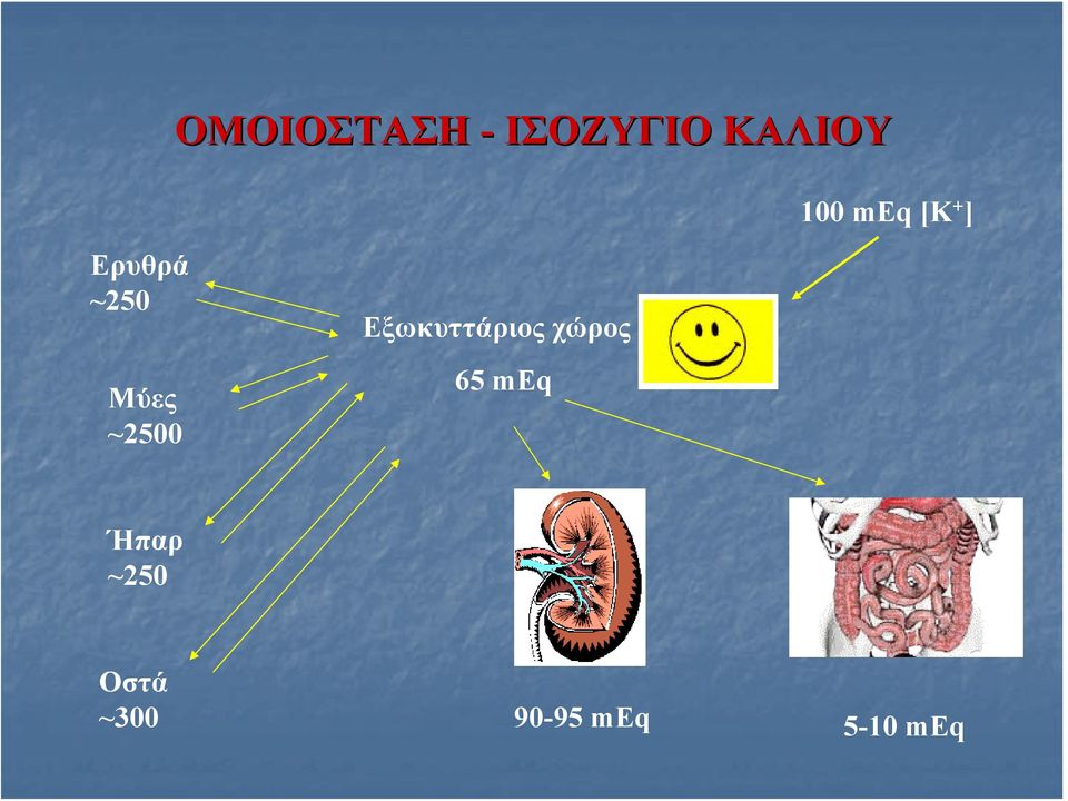 ~2500 Εξωκυττάριος χώρος 65 meq