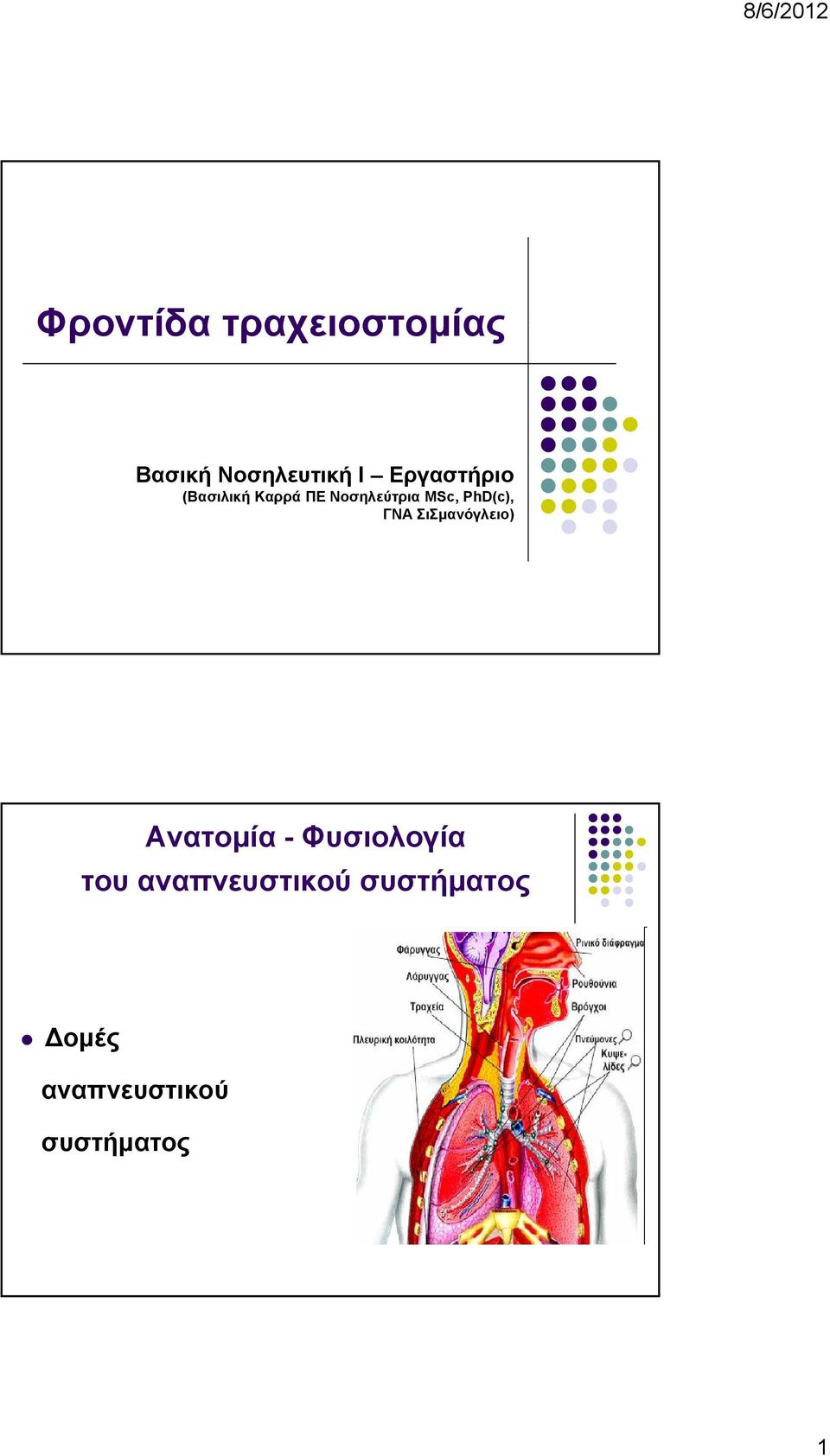 PhD(c), ΓΝΑ ΣιΣμανόγλειο) Ανατομία - Φυσιολογία