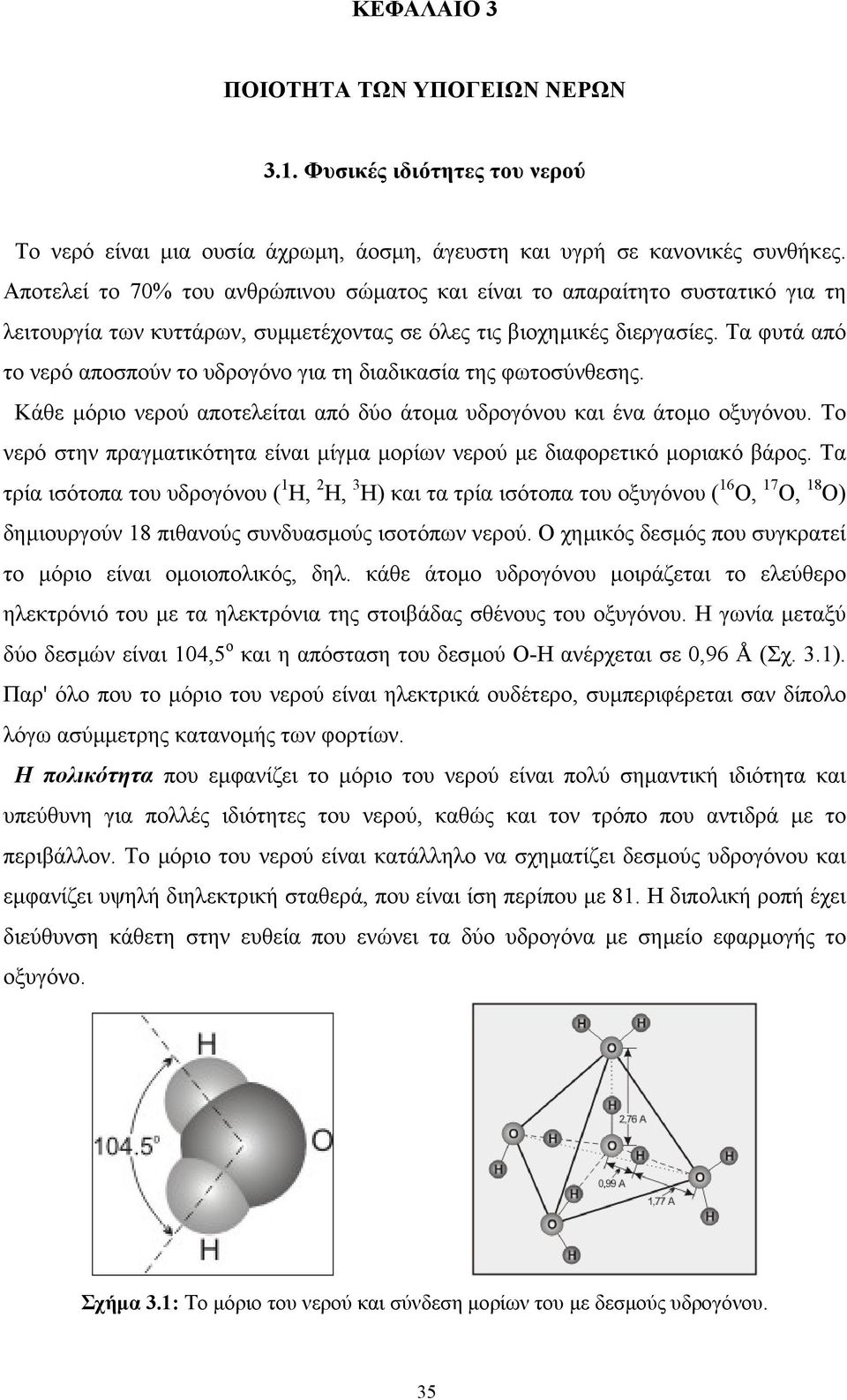 Τα φυτά από το νερό αποσπούν το υδρογόνο για τη διαδικασία της φωτοσύνθεσης. Κάθε µόριο νερού αποτελείται από δύο άτοµα υδρογόνου και ένα άτοµο οξυγόνου.