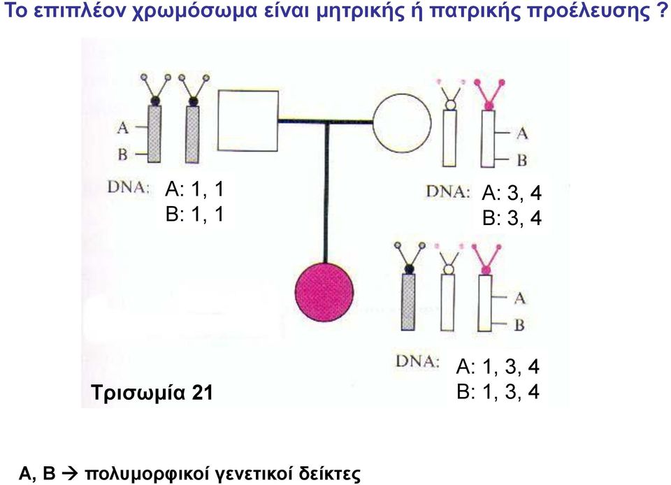 A: 1, 1 B: 1, 1 A: 3, 4 B: 3, 4 Τρισωμία