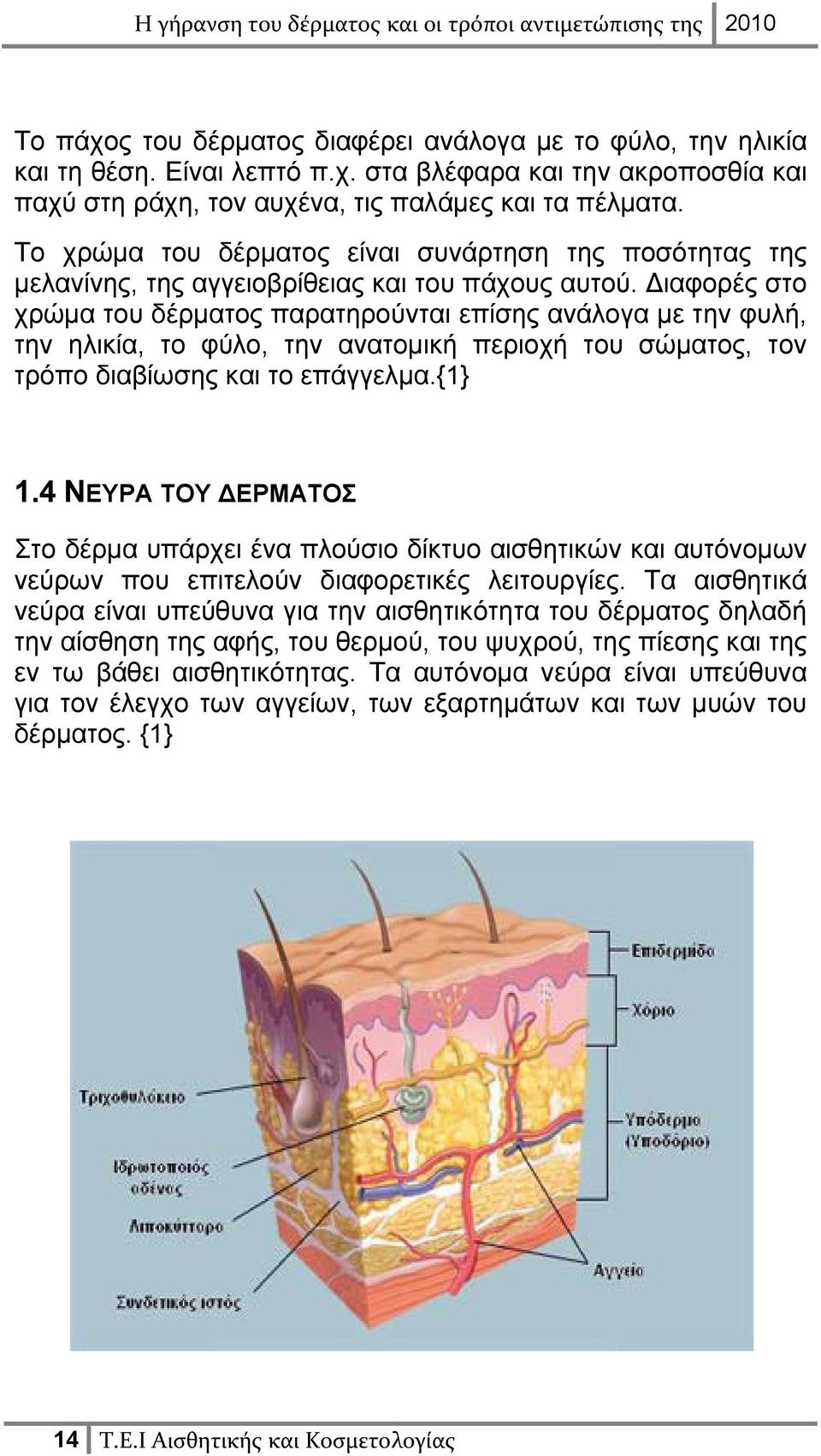 Διαφορές στο χρώμα του δέρματος παρατηρούνται επίσης ανάλογα με την φυλή, την ηλικία, το φύλο, την ανατομική περιοχή του σώματος, τον τρόπο διαβίωσης και το επάγγελμα.{1} 1.