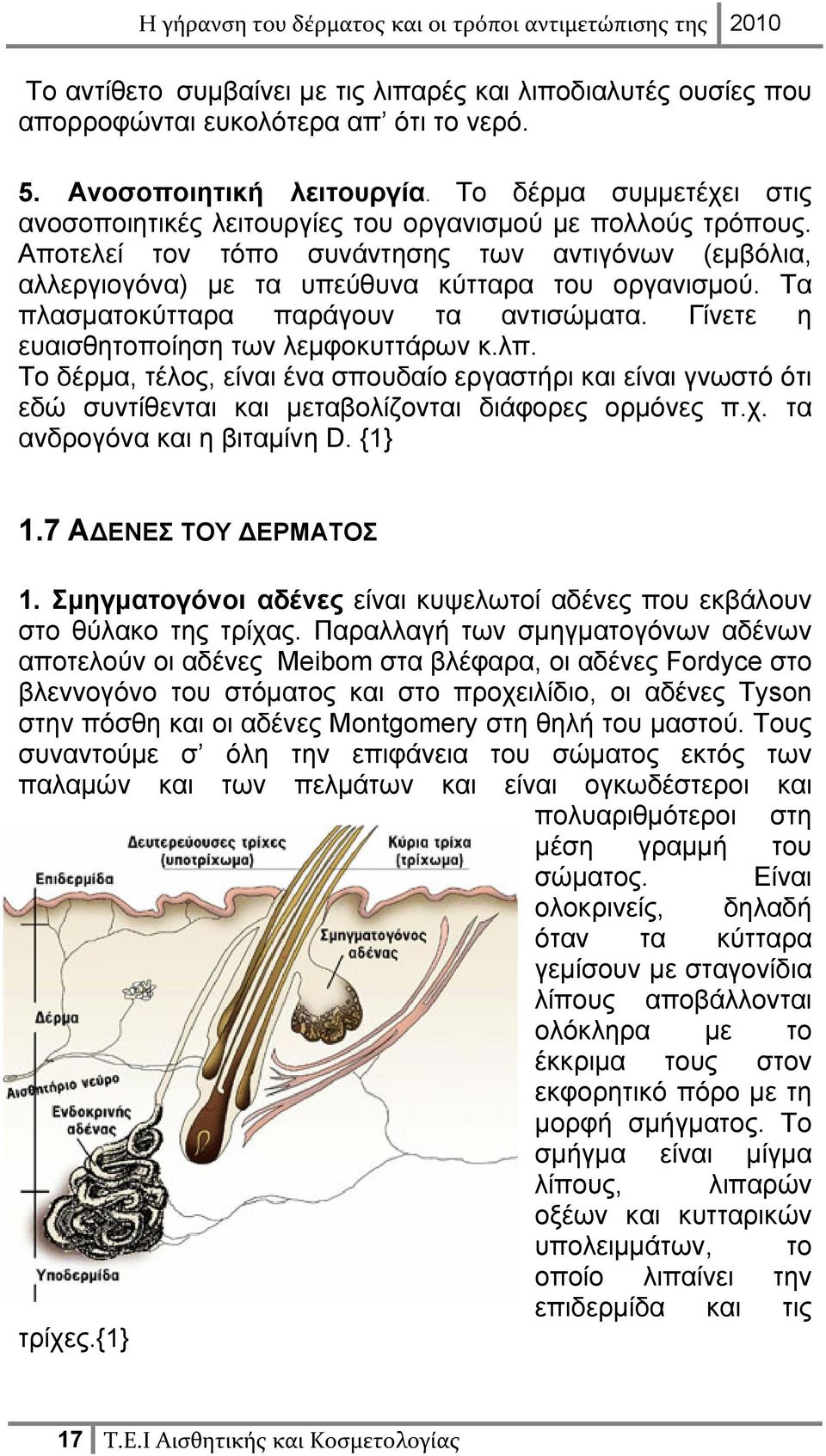 Τα πλασματοκύτταρα παράγουν τα αντισώματα. Γίνετε η ευαισθητοποίηση των λεμφοκυττάρων κ.λπ.