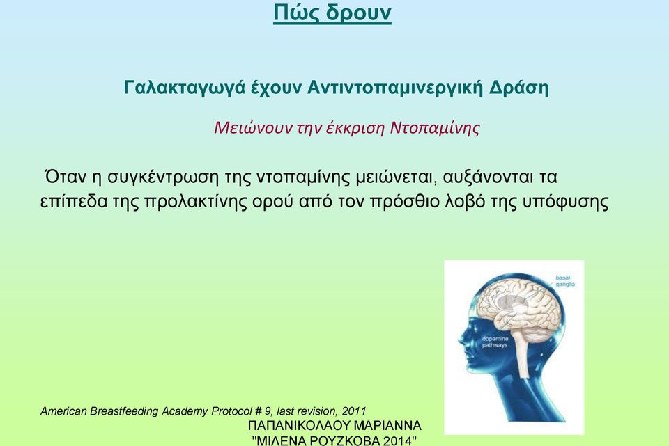 αυξάνονται τα επίπεδα της προλακτίνης ορού από τον πρόσθιο λοβό της