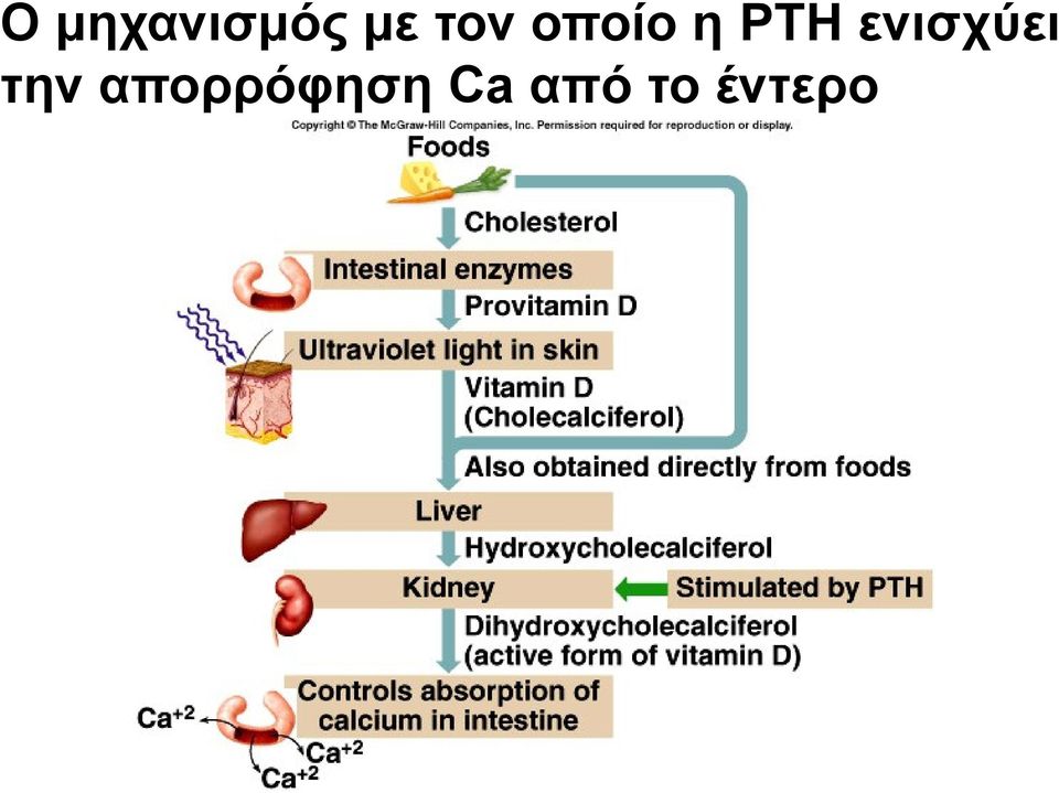 ενισχύει την