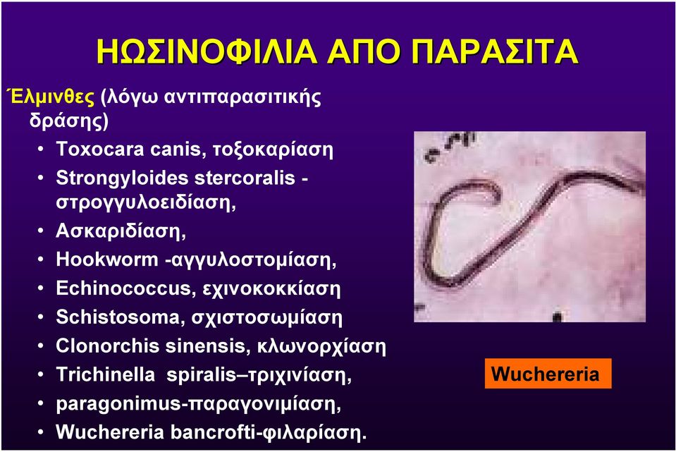 Echinococcus, εχινοκοκκίαση Schistosoma, σχιστοσωµίαση Clonorchis sinensis, κλωνορχίαση