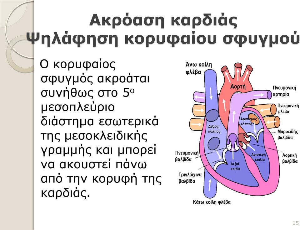 μεσοπλεύριο διάστημα εσωτερικά της μεσοκλειδικής