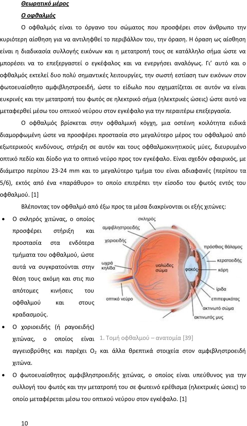 Γι αυτό και ο οφθαλμός εκτελεί δυο πολύ σημαντικές λειτουργίες, την σωστή εστίαση των εικόνων στον φωτοευαίσθητο αμφιβληστροειδή, ώστε το είδωλο που σχηματίζεται σε αυτόν να είναι ευκρινές και την