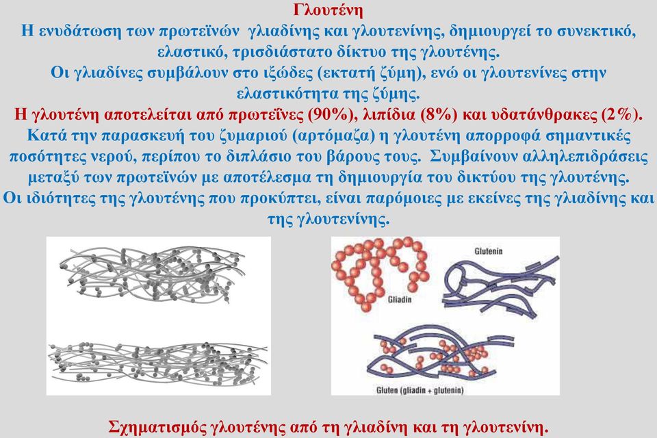 Η γλουτένη αποτελείται από πρωτεΐνες (90%), λιπίδια (8%) και υδατάνθρακες (2%).