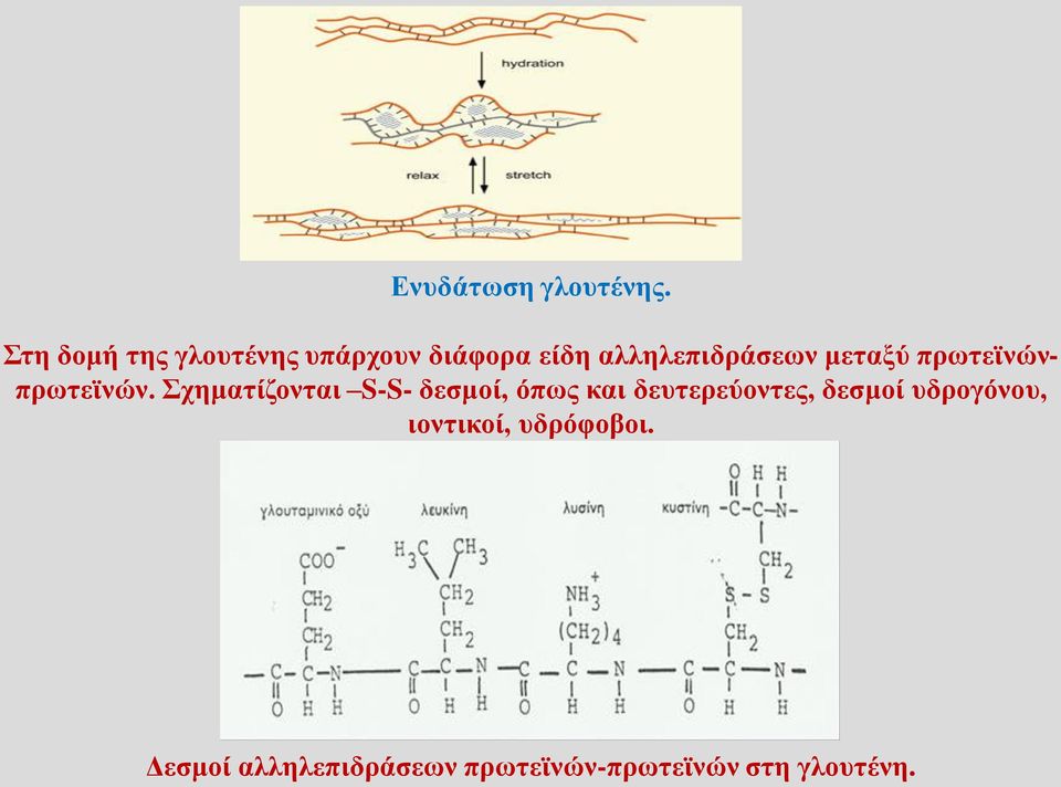 μεταξύ πρωτεϊνώνπρωτεϊνών.