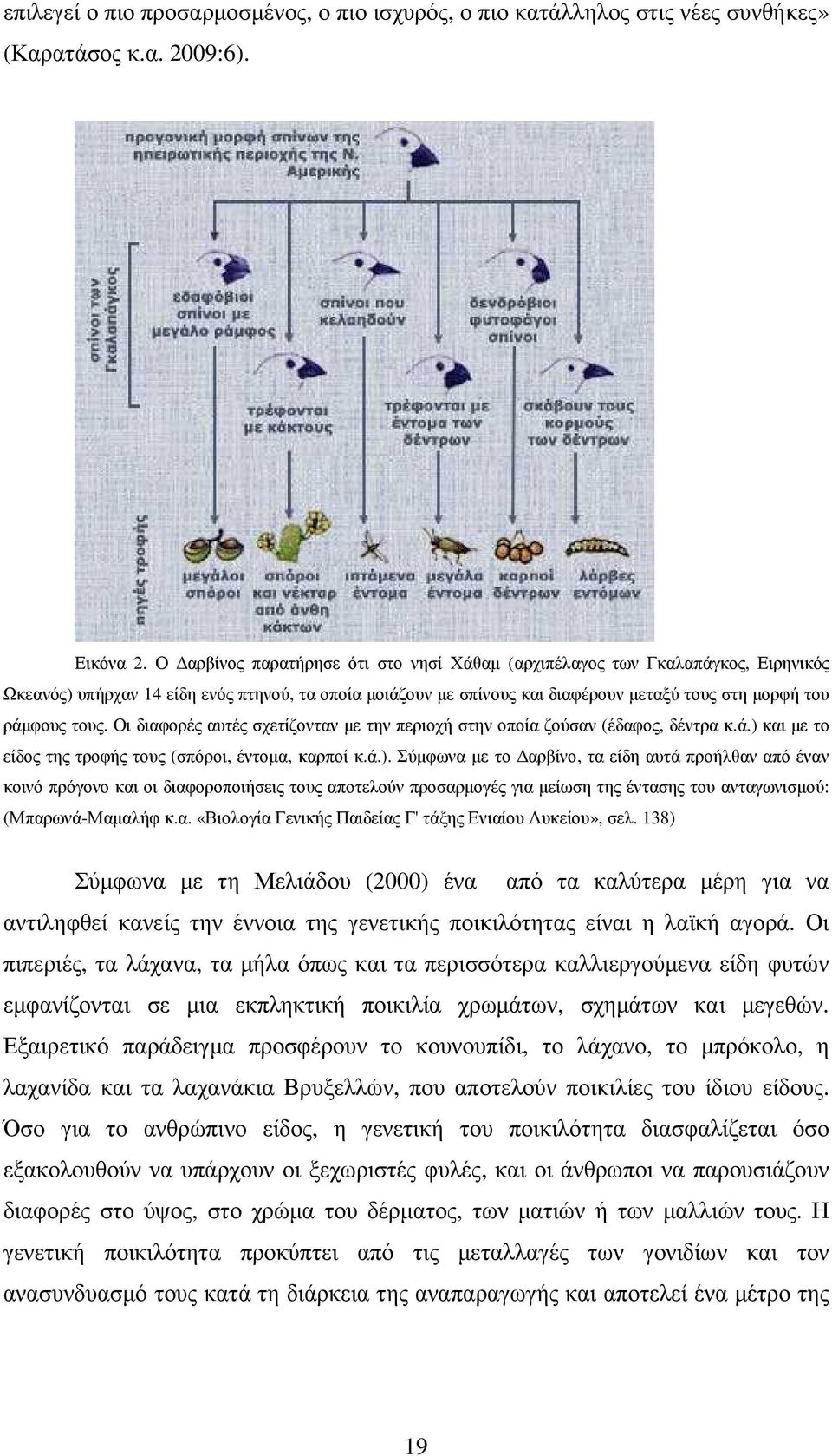 Οι διαφορές αυτές σχετίζονταν µε την περιοχή στην οποία ζούσαν (έδαφος, δέντρα κ.ά.) 