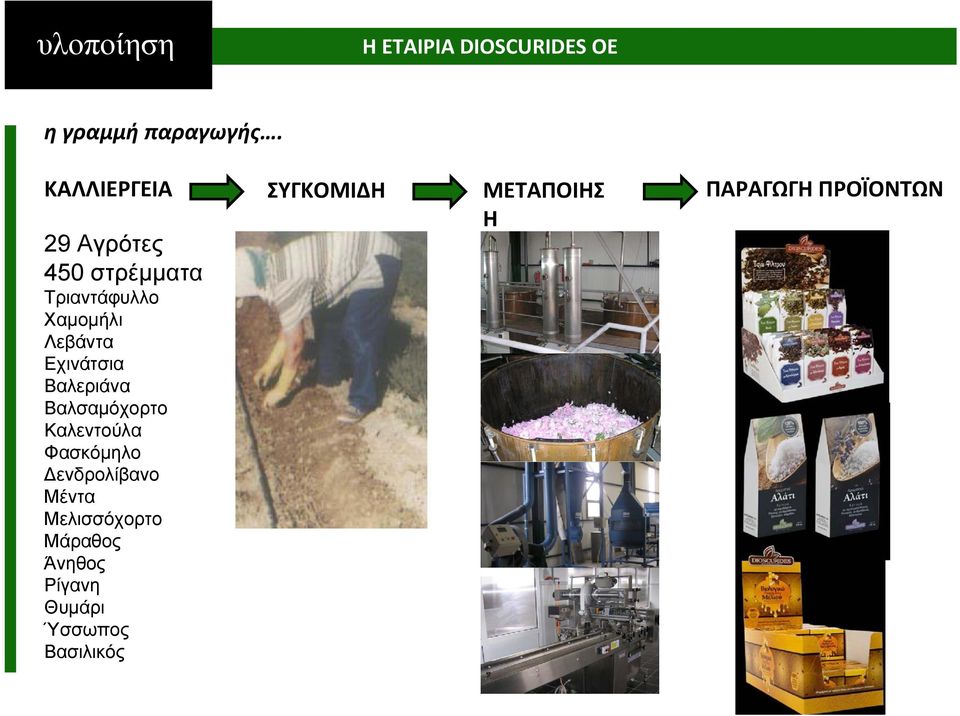 Τριαντάφυλλο Χαμομήλι Λεβάντα Εχινάτσια Βαλεριάνα Βαλσαμόχορτο