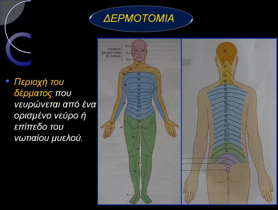 από ένα ορισμένο νεύρο ή