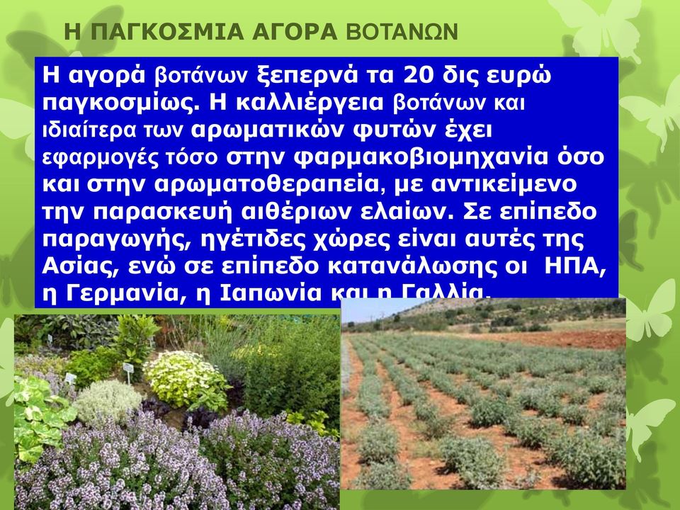 φαρμακοβιομηχανία όσο και στην αρωματοθεραπεία, με αντικείμενο την παρασκευή αιθέριων ελαίων.